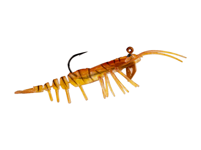 Teke Shrimp Baby 55 - Image 4