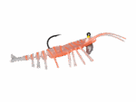 Teke Shrimp 75 - Image 2