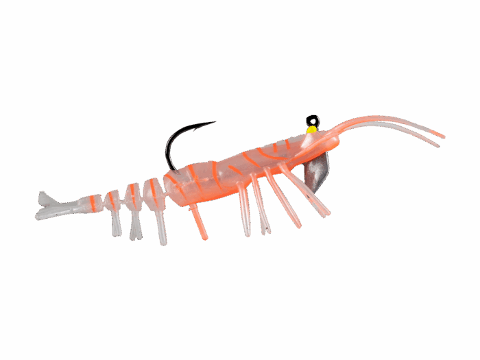 Teke Shrimp 75 - Image 2