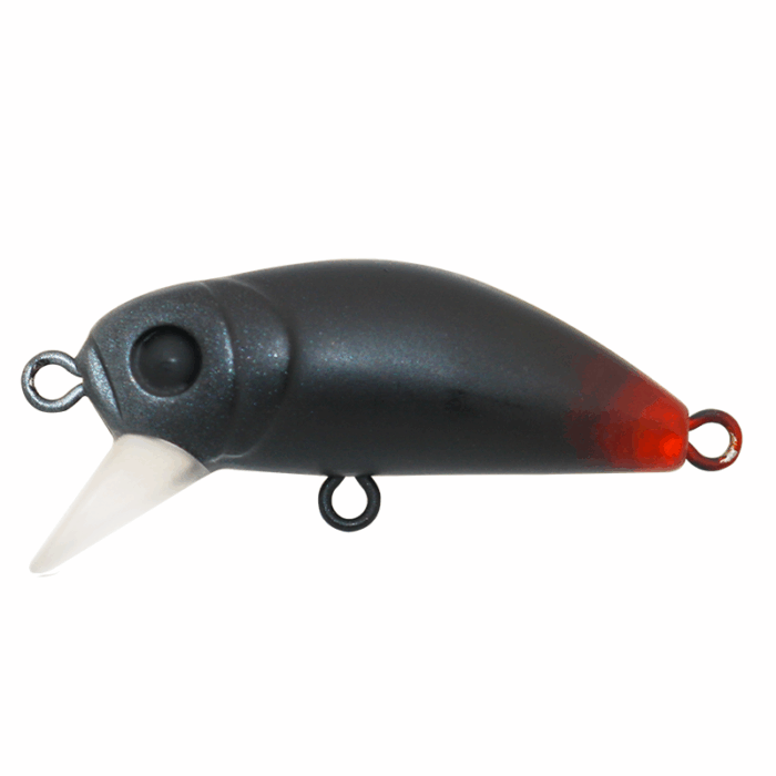 BIDIK35 - Image 3