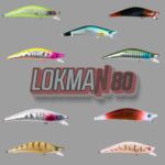 LOKMAN80