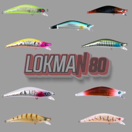 LOKMAN80