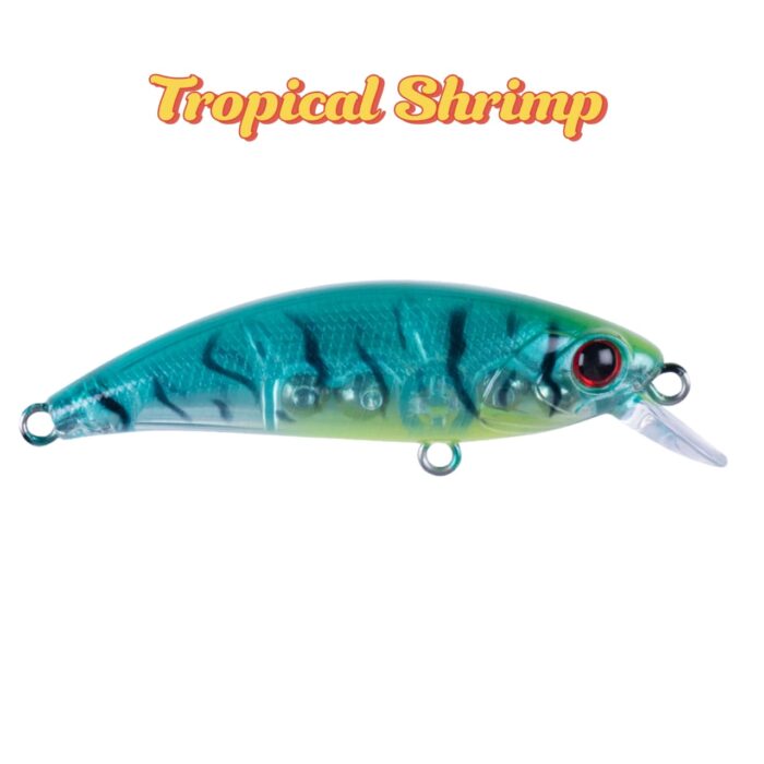 ZIPIR 50kg - Image 23