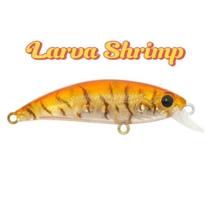 ZIPIR 50kg - Image 16