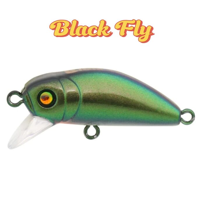 BIDIK35 - Image 12