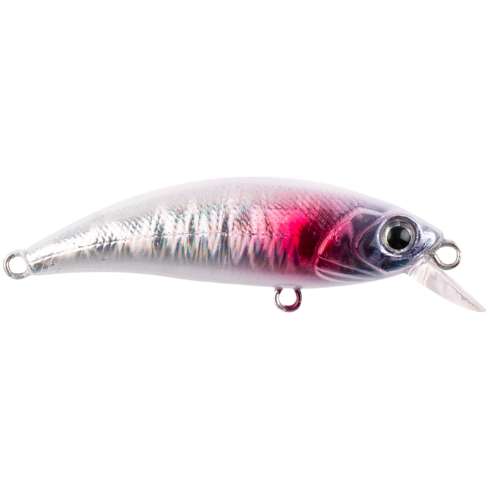 ZIPIR 50kg - Image 13