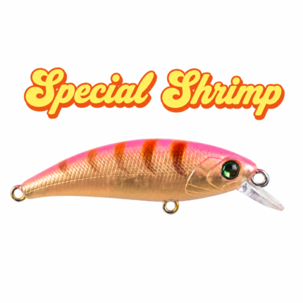 zipir spacial shrimp