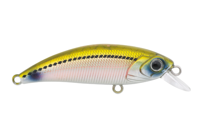 ZIPIR 50kg - Image 17