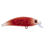 ZIPIR 50kg - Image 8