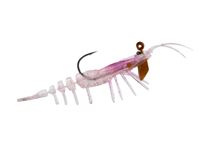 Teke Shrimp Baby 55 - Image 3