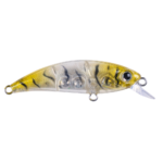 ZIPIR 50kg - Image 10