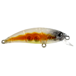 ZIPIR 50kg - Image 14
