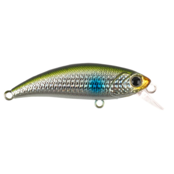 ZIPIR 50kg - Image 2