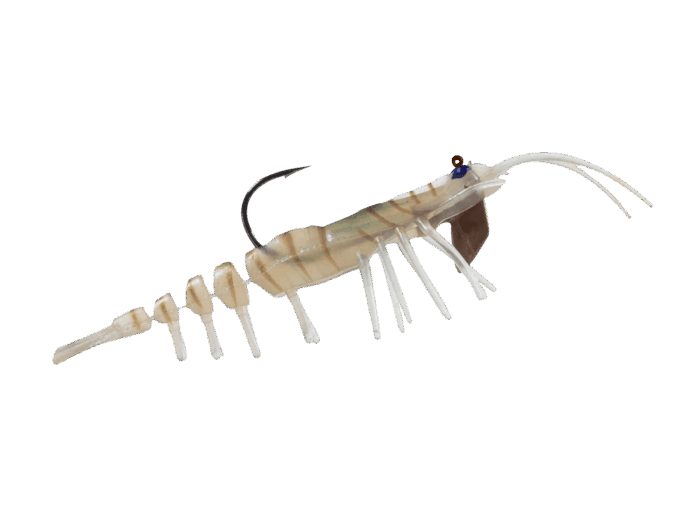 Teke Shrimp Baby 55 - Image 2