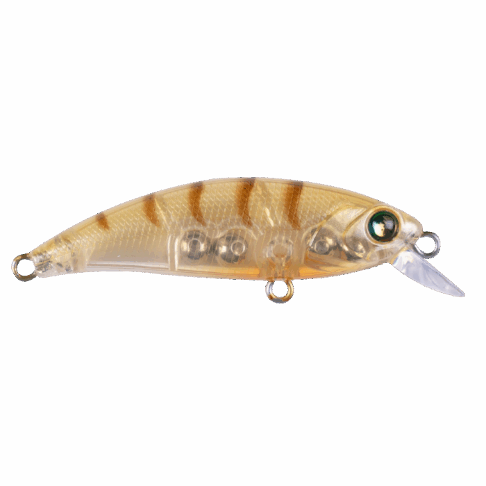 ZIPIR 50kg - Image 7