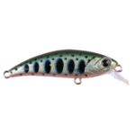 ZIPIR 50kg - Image 5