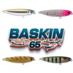 BASKIN 65